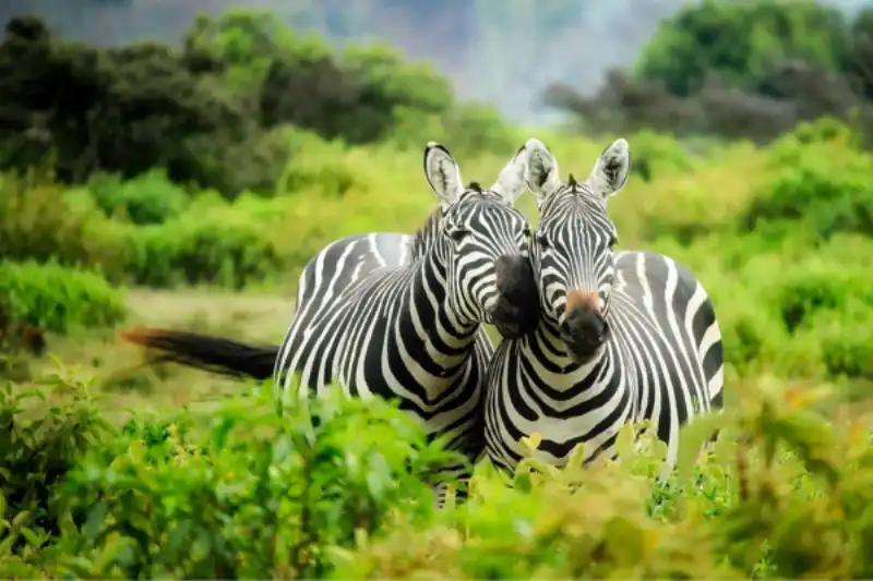 Your Journey starts Now